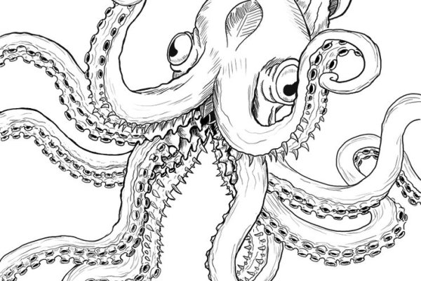 Как найти kraken