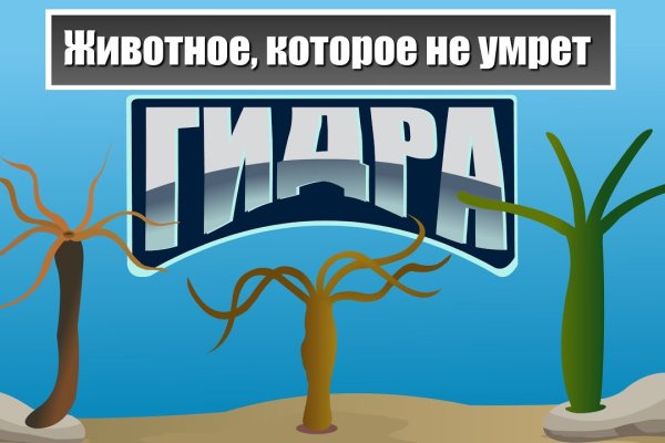 Официальный сайт kraken ссылки зеркала