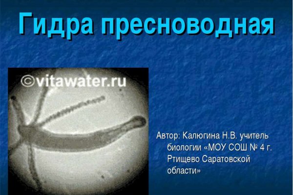 Поддержка кракен шоп