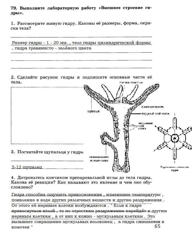 Кракен купить гашиш