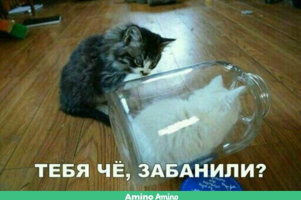Гидра и кракен