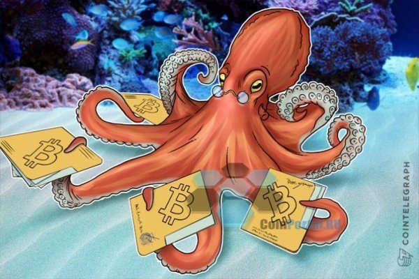 Kraken 26 at