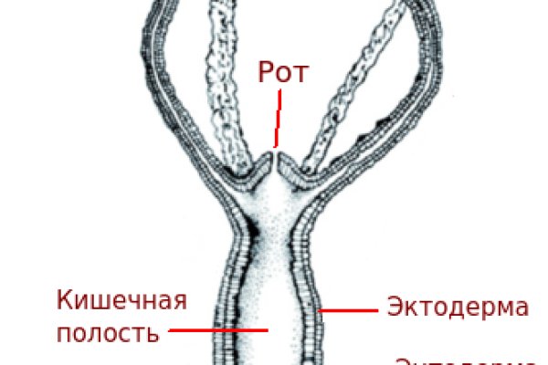 Кракен последние ссылки