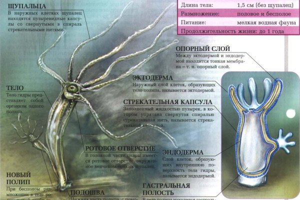 Вход в кракен