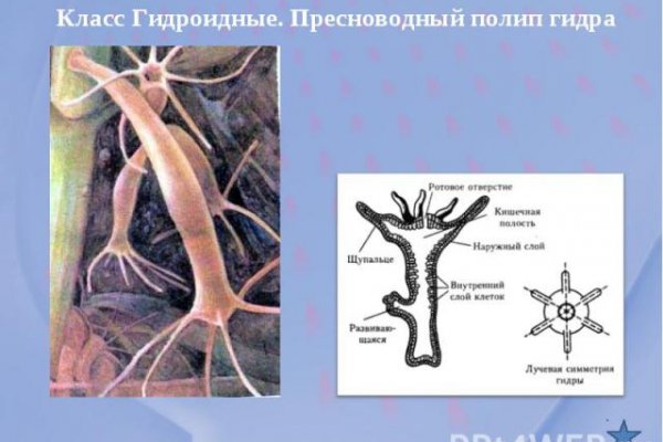 Кракен маркетплейс официальный сайт сайт ссылка