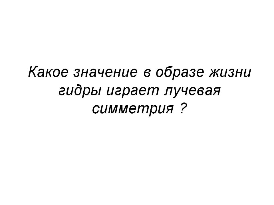 Как зайти на кракен дарк