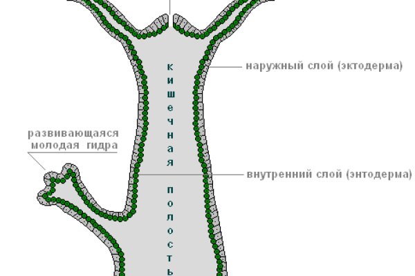 Не могу зайти на сайт кракен